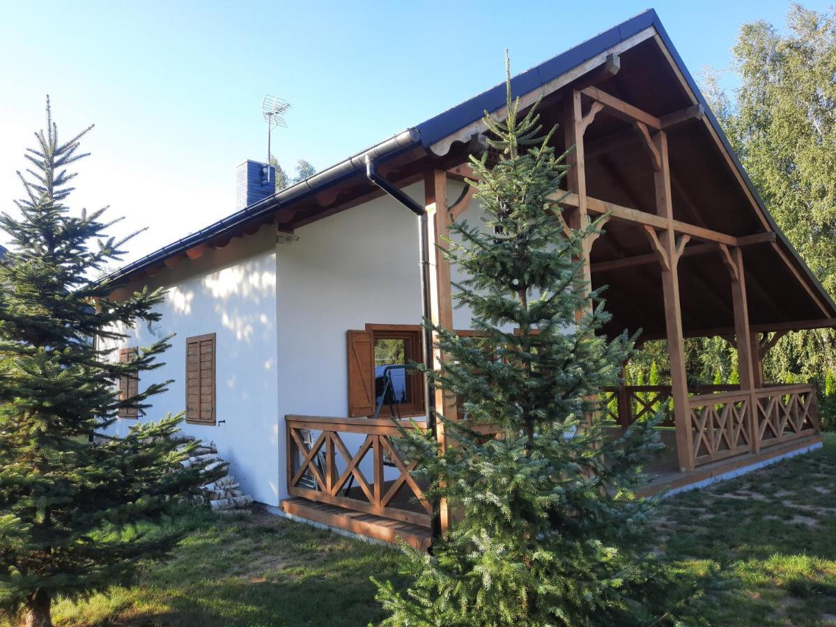 Domek Caloroczny Nad Jeziorem Budzislawskim, Wielkopolska Na Wynajem Anastazewo Exterior foto