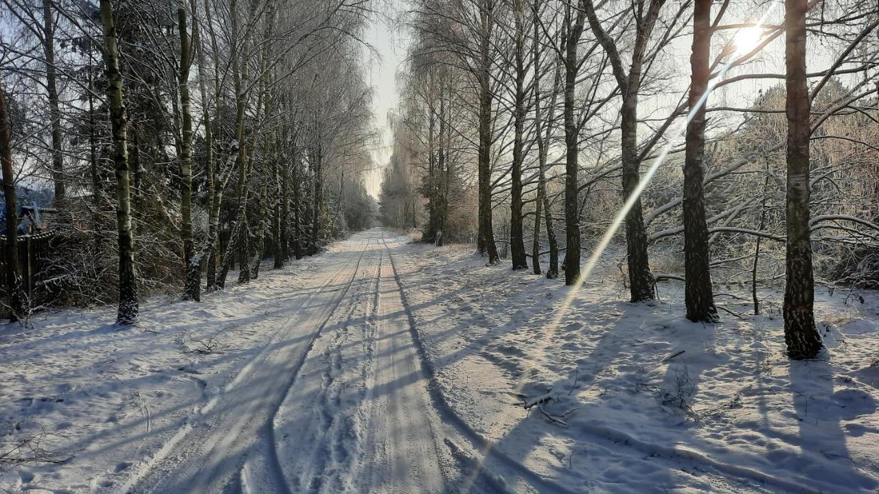 Domek Caloroczny Nad Jeziorem Budzislawskim, Wielkopolska Na Wynajem Anastazewo Exterior foto